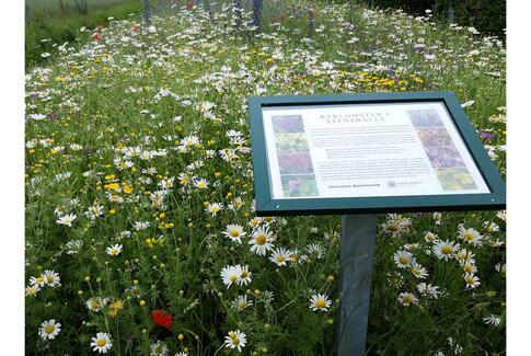 Horsens vil være Danmarks vildeste kommune