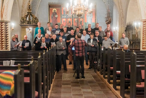 Kære mænd – jeg har brug for jer