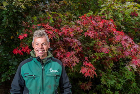 Det er ikke for sent at plante i haven