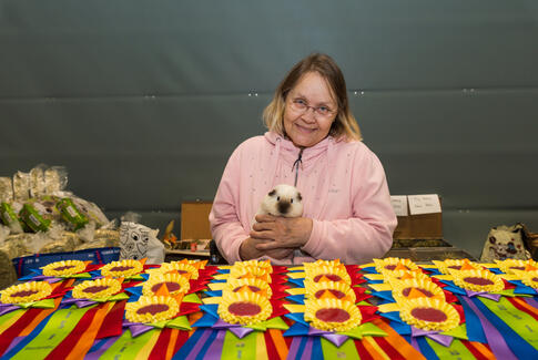 Masser af marsvin i Østbirk