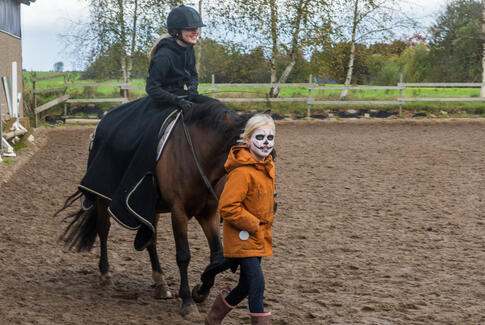 Fest, hest og udklædning i VBR