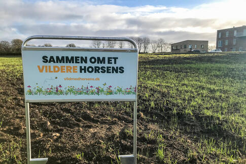 50.000 kvm stort spisekammer til insekter i Bygholm Bakker
