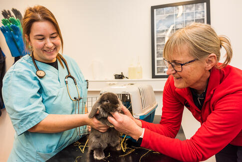 Tvingstrup Dyreklinik har travlt
