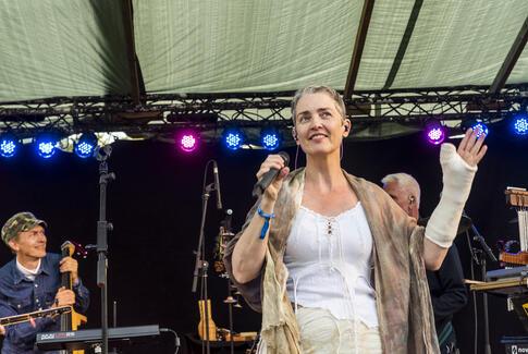 Fortryllet aften ude i skoven