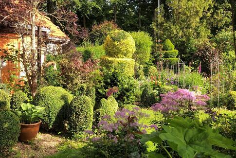 Kom til åben have i en fin gammel tilvokset have