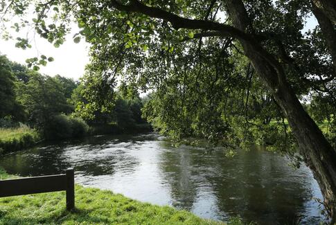Stor bevilling til stiprojektet ”GudenåStien – fra kilde til fjord”