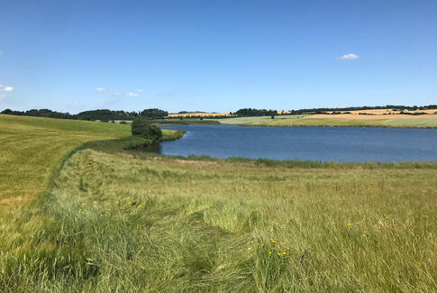 Lad ikke din hund drikke af eller bade i Gedved Sø eller Tolstrup Å