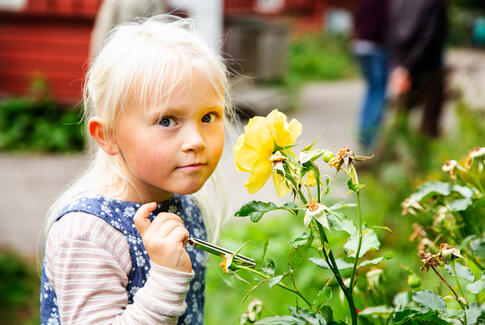 2415 børn fra Horsens Kommune går på opdagelse i den nære natur