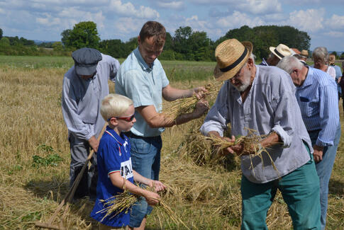Oplev Høst- og markedsdagene på Glud Museum