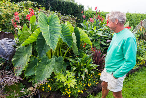 Efterårets kommer blev fejret med Havens Dag
