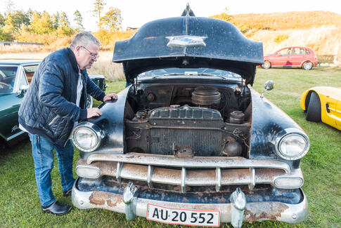 Veteraner og en enkelt filmstjerne