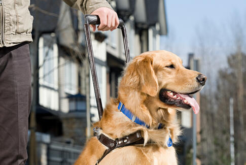 Servicehundeforeningen på Østbirk bibliotek