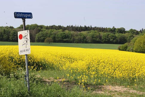 Stort skovprojekt, der skal beskytte horsensianernes drikkevand, er sendt i høring