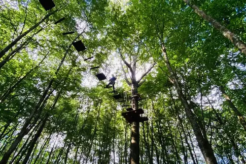 Tivoli Friheden præsenterer Danmarks første klatrepark i en forlystelsespark