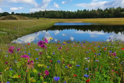 Bliv van(d)vittigt meget klogere på Vandets Dag