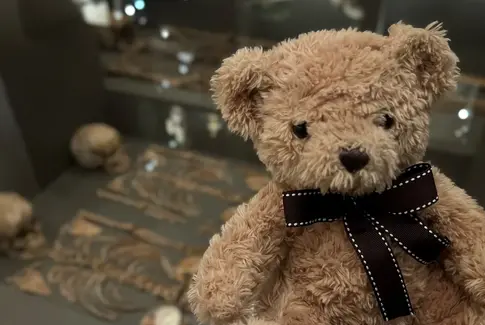 Historisk overnatning: Tag fortiden i egen hånd på Horsens Museum