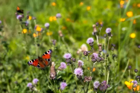 Horsens Kommune styrker den grønne omstilling med 245 nye ladestandere