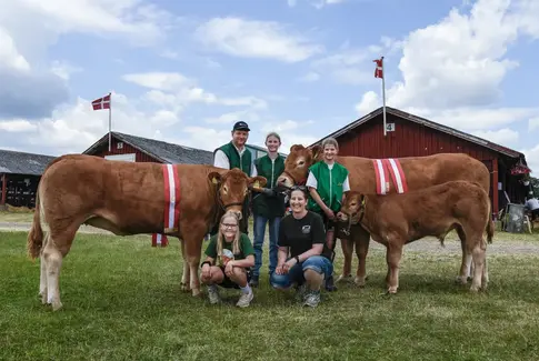 Familien Thaysens triumf: Store sejre ved Horsens Dyrskue