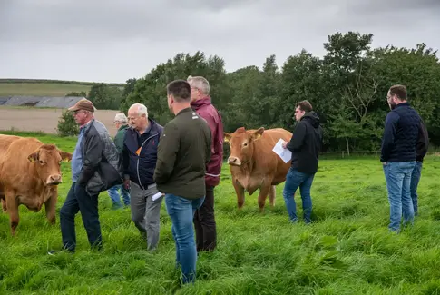 Sommertur med &quot;Sydjysk kødkvæg&quot;: Varme trods køligt vejr
