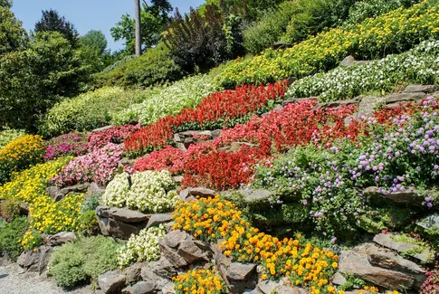 Oplev økologiens vidundere: Ældre Sagen tager dig med på frugtbar eventyrrejse!