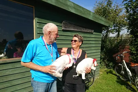 Den gris får man hverken koteletter eller mørbrad ud af
