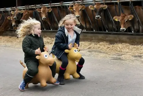 Tag familien med på opdagelse i dansk landbrug
