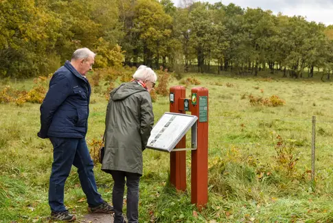 Efterårets gyldne øjeblikke med ÆldreSagen Horsens Nord