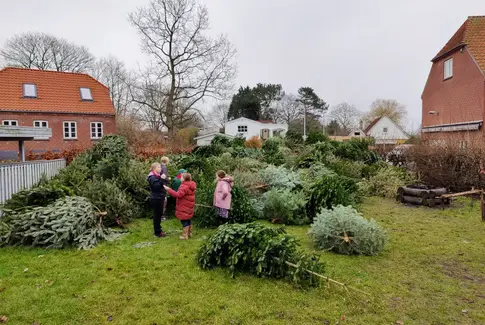 Spejderne i Egebjerg: En juletradition genopfinder sig
