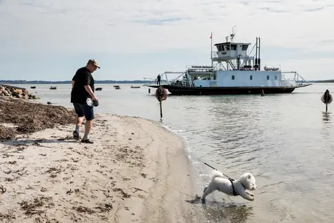 Flere penge hver måned til 967 pensionister i Horsens Kommune