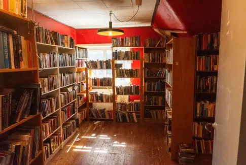 Bogelskeres paradis: Et forårsfund på loppemarkedet i Hovedgård