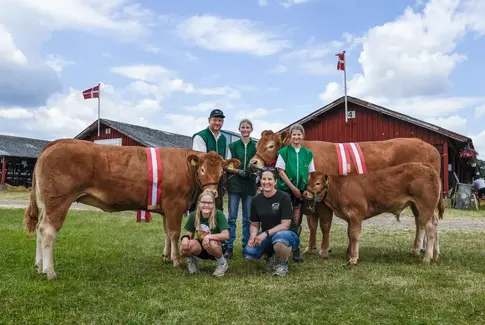 Horsens Dyrskue 2024: Klar, parat, oplev!