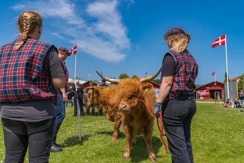 Dyrskue i Horsens trak børnefamilier og maskinelskere til