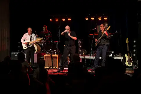 Elvis and the teddybears