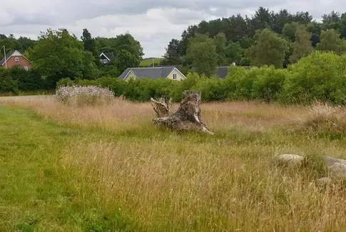 Gantrup Vild med vilje