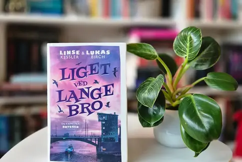 Liget ved Langebro, skrevet af Linse Kessler og Lukas Birch