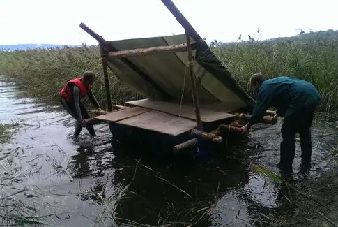 Knob, sved og tårer