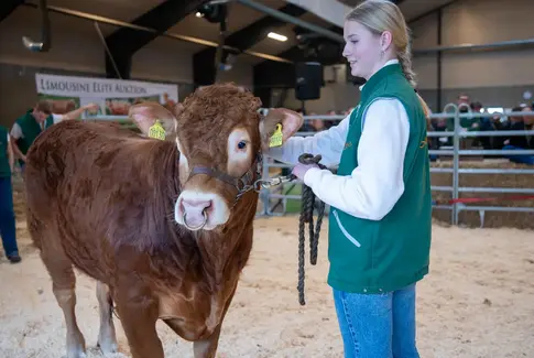 Karoline Thaysen fremviser tyren Stenbjerg Alfred P