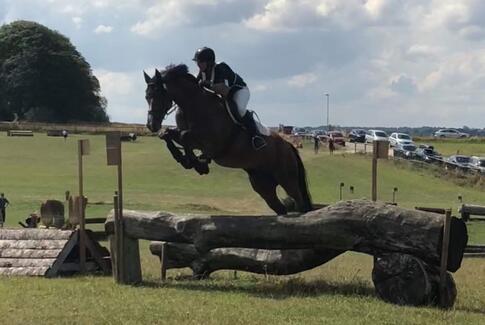 Edelgårdens Rideklub opnår fine resultater