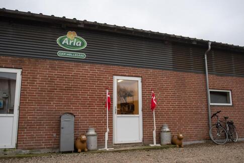 Holger på toppen fylder 70 år