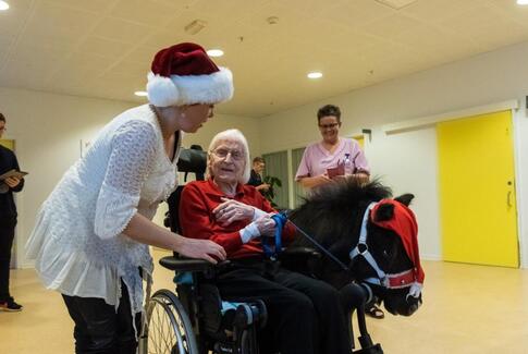 Gedvedhus fik besøg af to mini ponyer