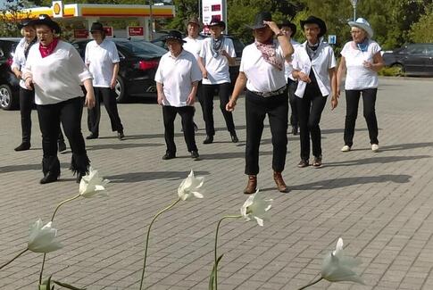 Dans og sang i det fri på Birkebo
