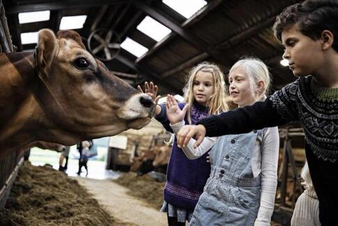 85.000 børn og voksne så, rørte og lugtede til landbruget