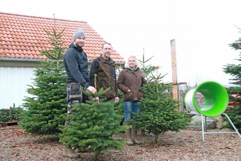 Tusindvis af juletræer hos Familien Krogh
