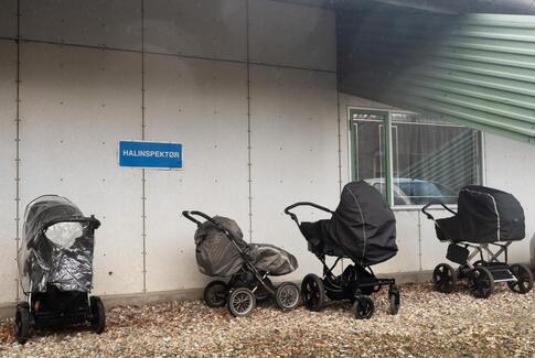 Flot gymnastikopvisning i Hovedgård