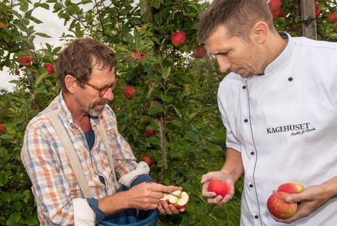 Æblerne fra Tolstrup frister allerede
