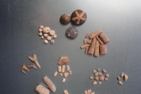 Jagten er gået ind i Vestbirk Naturbørnehave