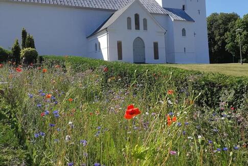 Bustur blev til kirketur