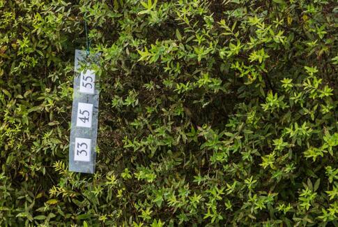 Kom til jule-gå-banko i Hovedgård