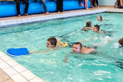 Energiske vandhunde i Hovedgård