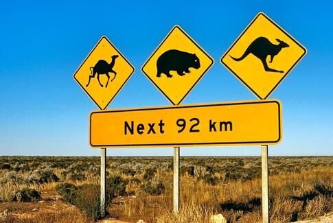 Australien rundt med farmor på 91